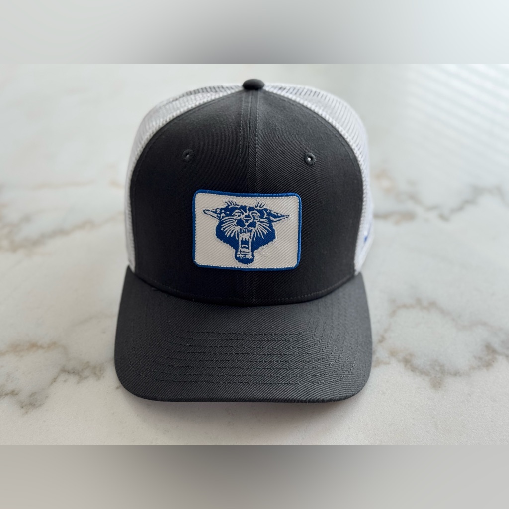Mens Nike GrayWhite Kentucky Wildcats Classic Trucker Adjustable Hat